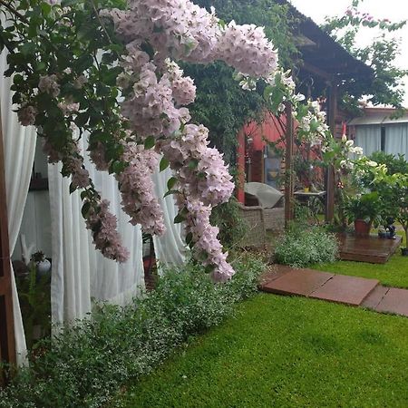 Pousada Charme E Estilo Нова Петрополис Екстериор снимка