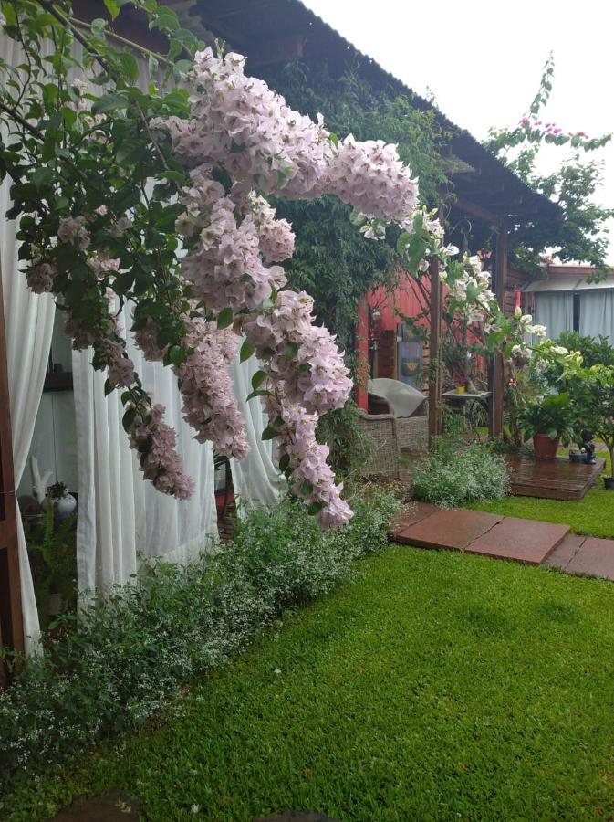 Pousada Charme E Estilo Нова Петрополис Екстериор снимка
